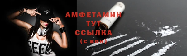 ПСИЛОЦИБИНОВЫЕ ГРИБЫ Краснослободск