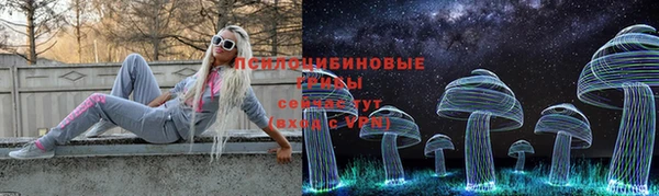 ПСИЛОЦИБИНОВЫЕ ГРИБЫ Краснослободск
