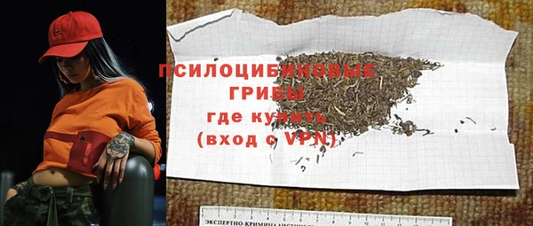 ПСИЛОЦИБИНОВЫЕ ГРИБЫ Краснослободск