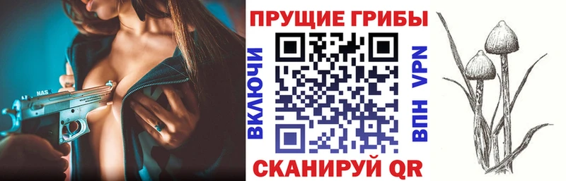 Псилоцибиновые грибы Cubensis  Купить закладки  Ишимбай 